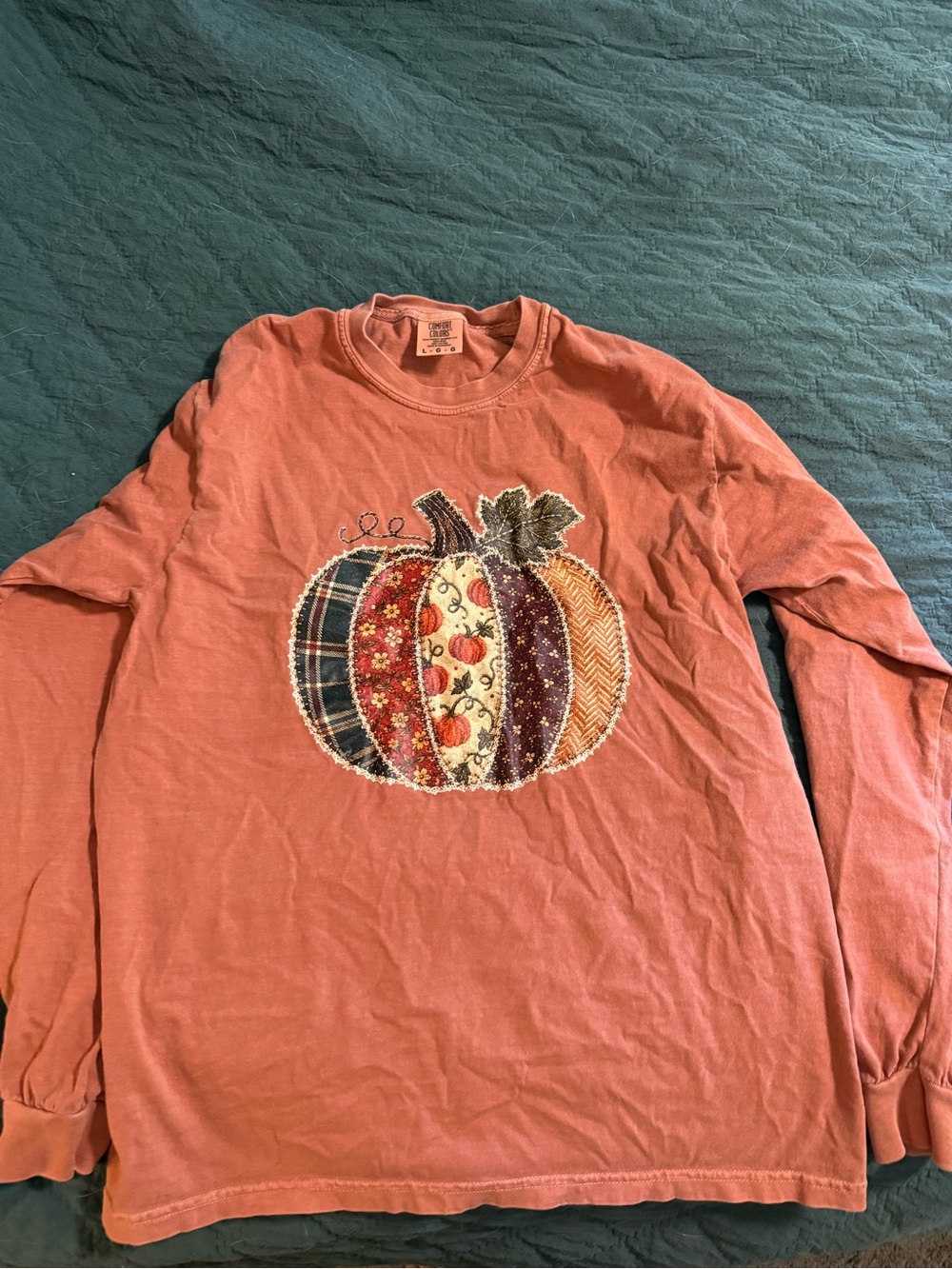 Pumpkin Applique Long Sleeve Tee